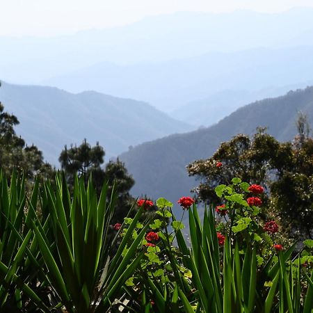 San Jose Del Pacifico- Cabanas Camino Al Cielo 3 Екстер'єр фото