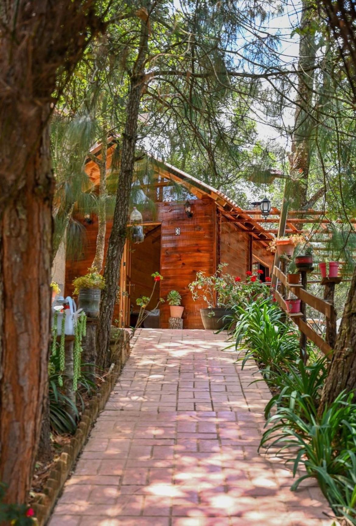 San Jose Del Pacifico- Cabanas Camino Al Cielo 3 Екстер'єр фото